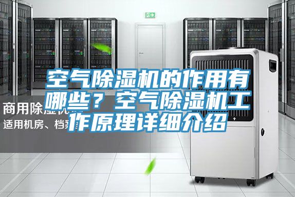 空氣除濕機的作用有哪些？空氣除濕機工作原理詳細介紹