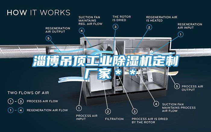 淄博吊頂工業除濕機定制 廠家**