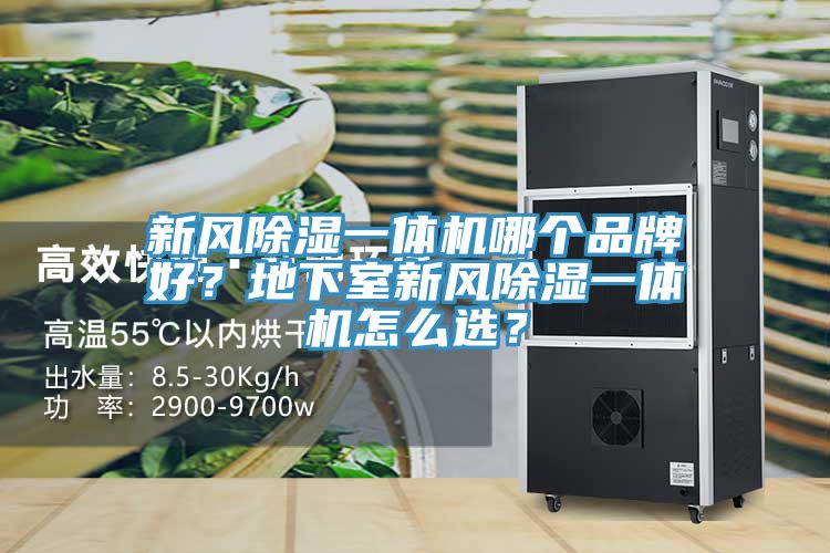 新風(fēng)除濕一體機(jī)哪個(gè)品牌好？地下室新風(fēng)除濕一體機(jī)怎么選？