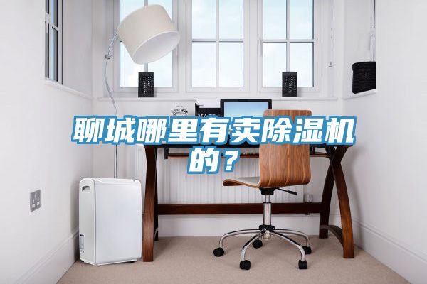 聊城哪里有賣除濕機的？