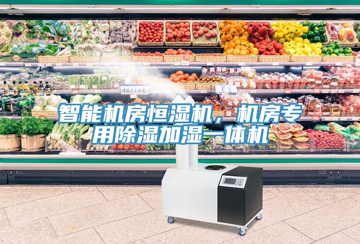 智能機房恒濕機，機房專用除濕加濕一體機