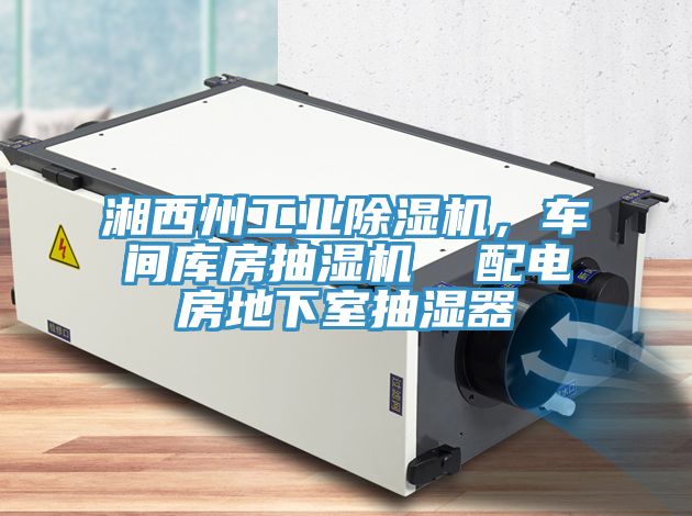 湘西州工業除濕機,車間庫房抽濕機 配電房地下室抽濕器