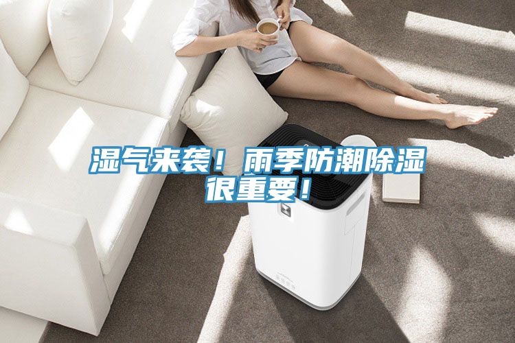 濕氣來襲!雨季防潮除濕很重要!
