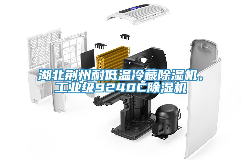 湖北荊州耐低溫冷藏除濕機，工業(yè)級9240C除濕機