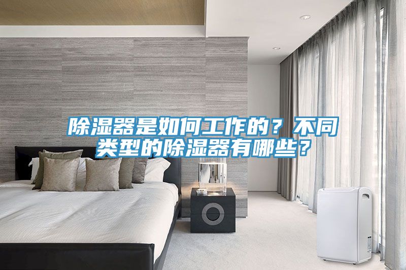 除濕器是如何工作的?不同類型的除濕器有哪些?