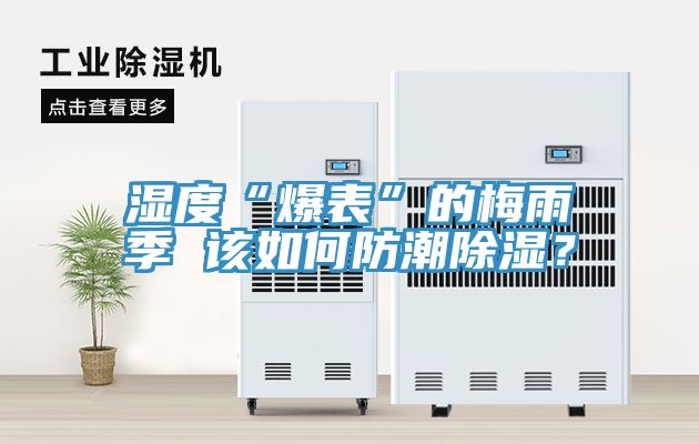 濕度“爆表”的梅雨季 該如何防潮除濕?