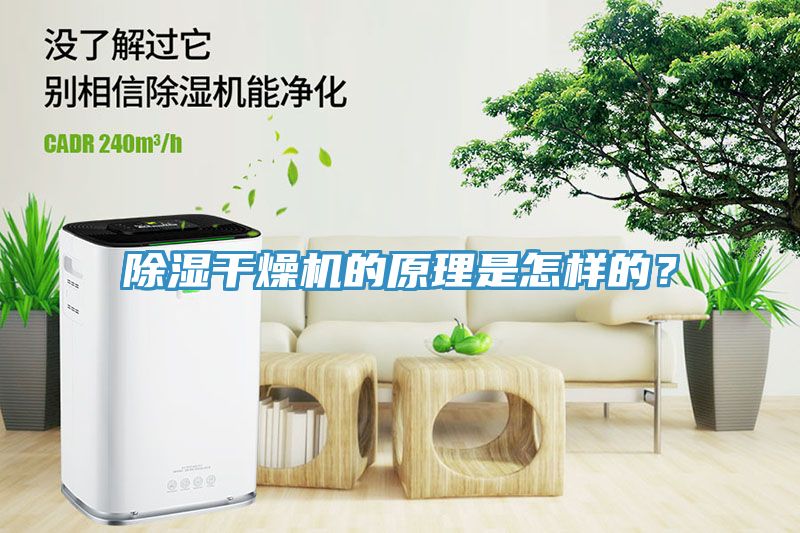 除濕干燥機的原理是怎樣的？
