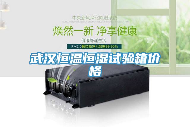 武漢恒溫恒濕試驗(yàn)箱價格