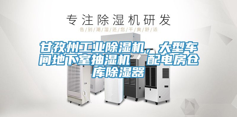 甘孜州工業除濕機，大型車間地下室抽濕機  配電房倉庫除濕器