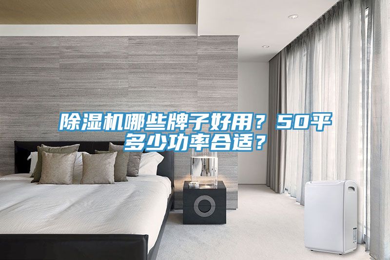 除濕機哪些牌子好用？50平多少功率合適？