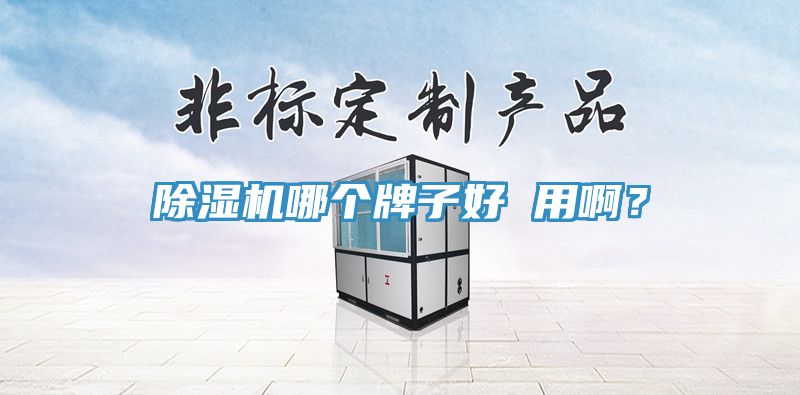 除濕機哪個牌子好 用啊？