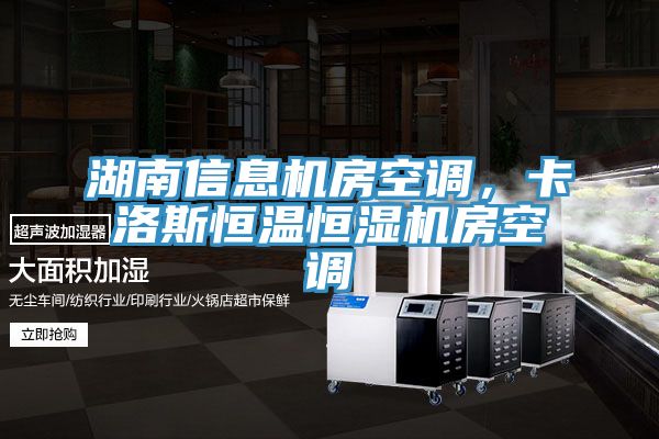 湖南信息機(jī)房空調(diào)，卡洛斯恒溫恒濕機(jī)房空調(diào)