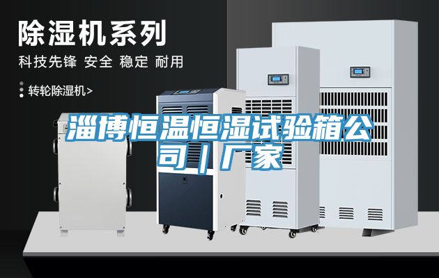 淄博恒溫恒濕試驗(yàn)箱公司|廠家