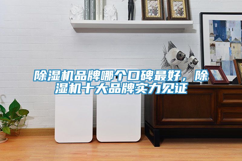 除濕機品牌哪個口碑最好,除濕機十大品牌實力見證