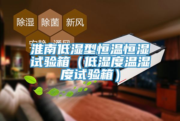淮南低濕型恒溫恒濕試驗(yàn)箱(低濕度溫濕度試驗(yàn)箱)