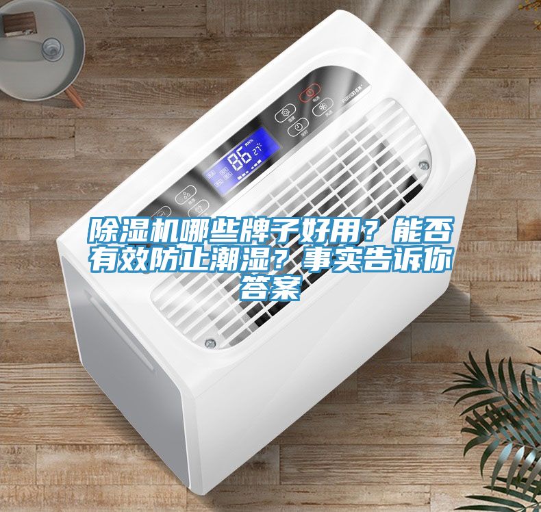 除濕機哪些牌子好用？能否有效防止潮濕？事實告訴你答案