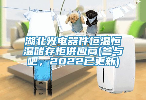 湖北光電器件恒溫恒濕儲(chǔ)存柜供應(yīng)商(參與吧，2022已更新)