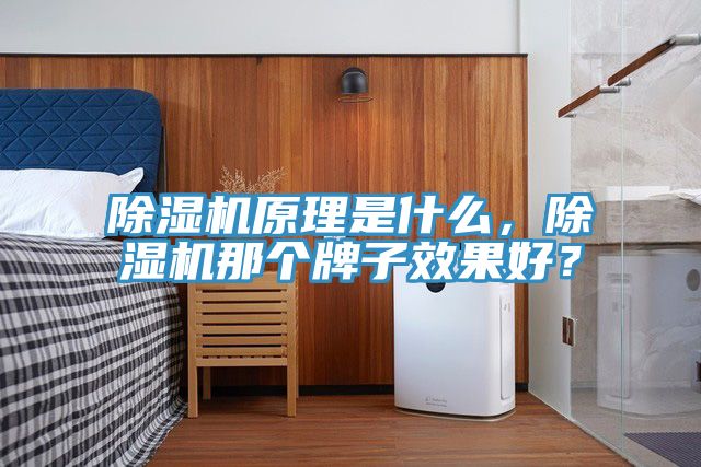 除濕機(jī)原理是什么，除濕機(jī)那個(gè)牌子效果好？