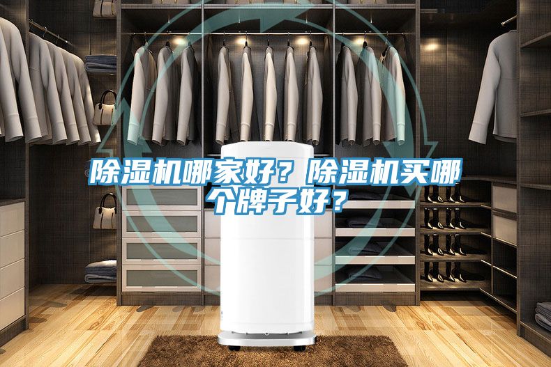 除濕機哪家好？除濕機買哪個牌子好？