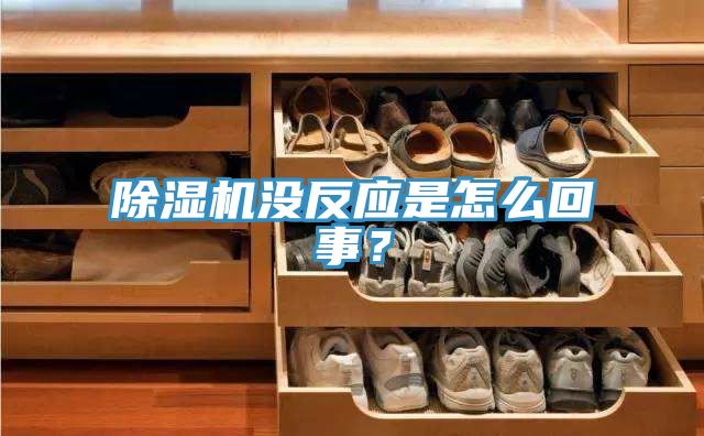 除濕機沒反應是怎么回事?
