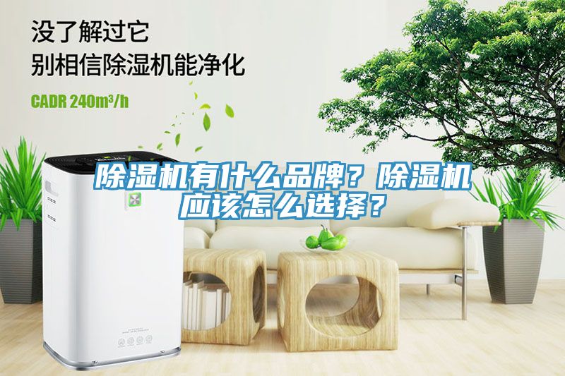 除濕機(jī)有什么品牌?除濕機(jī)應(yīng)該怎么選擇?