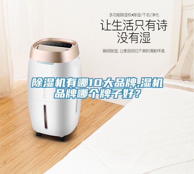 除濕機有哪10大品牌,濕機品牌哪個牌子好?