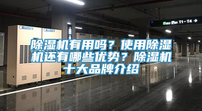 除濕機有用嗎?使用除濕機還有哪些優勢?除濕機十大品牌介紹