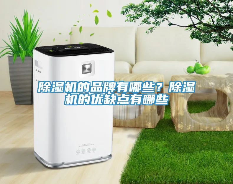 除濕機的品牌有哪些？除濕機的優缺點有哪些