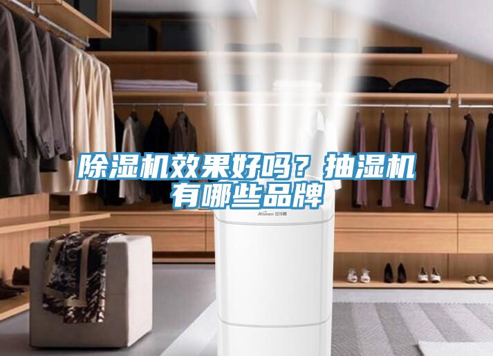 除濕機(jī)效果好嗎?抽濕機(jī)有哪些品牌