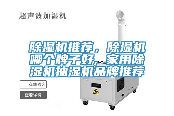 除濕機推薦,除濕機哪個牌子好, 家用除濕機抽濕機品牌推薦