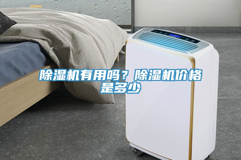除濕機有用嗎?除濕機價格是多少