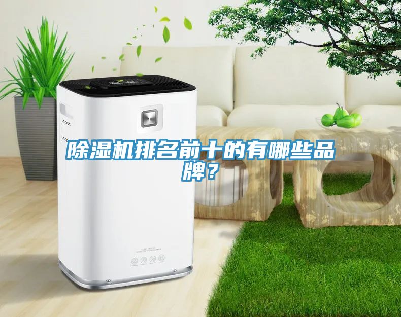 除濕機排名前十的有哪些品牌?