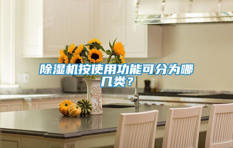 除濕機按使用功能可分為哪幾類?