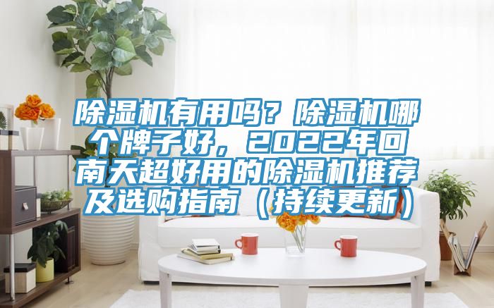 除濕機有用嗎？除濕機哪個牌子好，2022年回南天超好用的除濕機推薦及選購指南（持續更新）