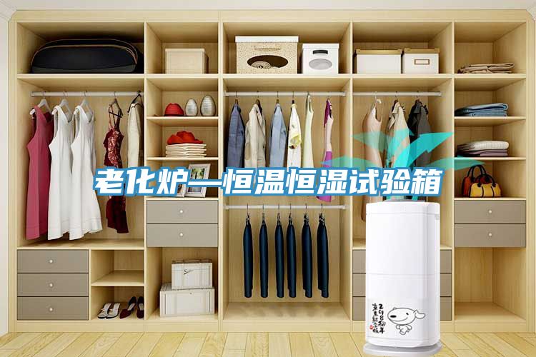 老化爐—恒溫恒濕試驗(yàn)箱