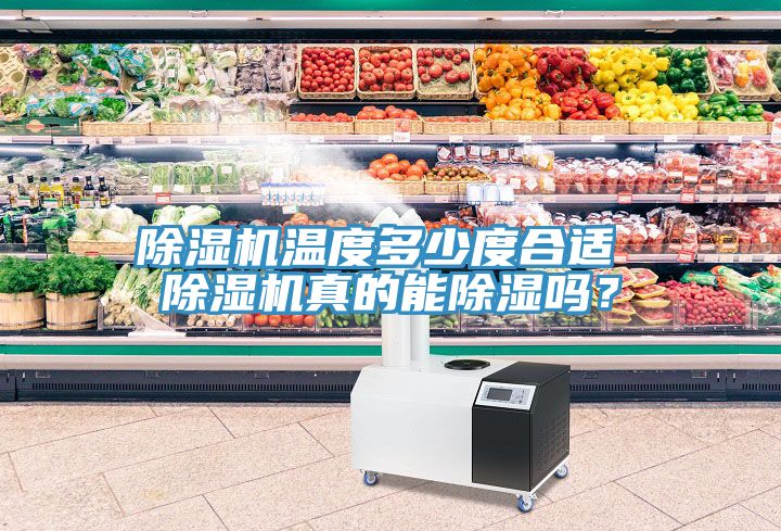 除濕機溫度多少度合適 除濕機真的能除濕嗎？