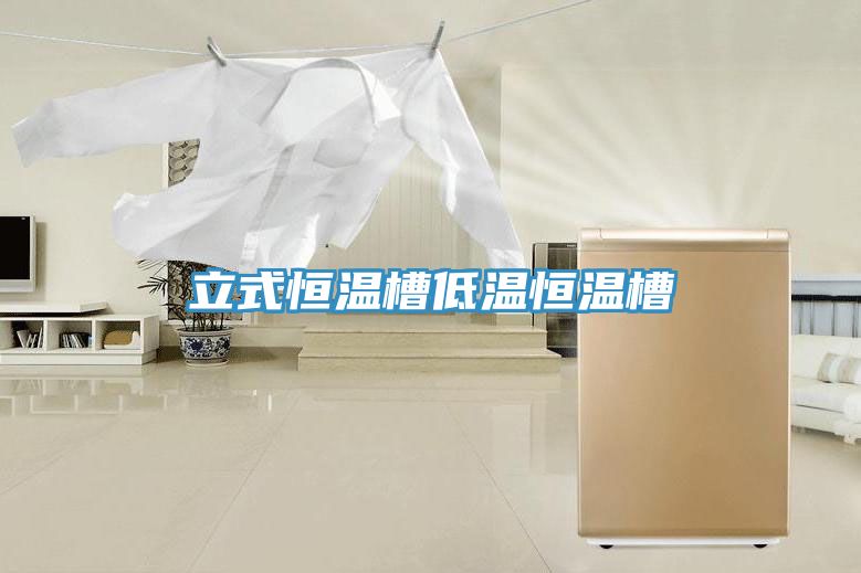 立式恒溫槽低溫恒溫槽