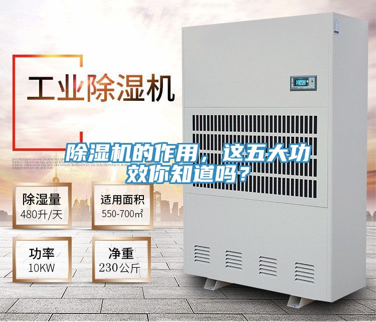 除濕機的作用，這五大功效你知道嗎？